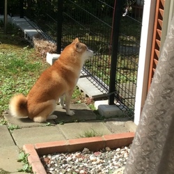 いろんなところで～～(^^)/