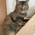 「お目目まん丸、愛らしいあんちゃん！」