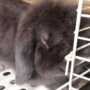 の写真