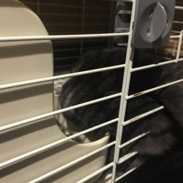 餌入れの使い方間違ってるよ…？
