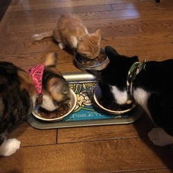 一緒にごはん(#^.^#)