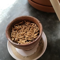 「着々と？ その3」サムネイル1