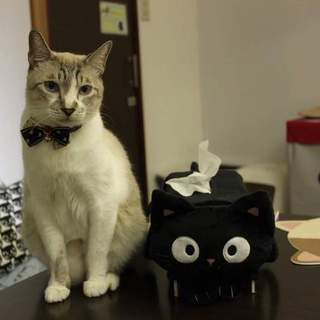 ぽっちゃりデレデレ「ライア」