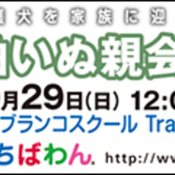 10月29日 ちばわん『柏いぬ親会』開催のご案内