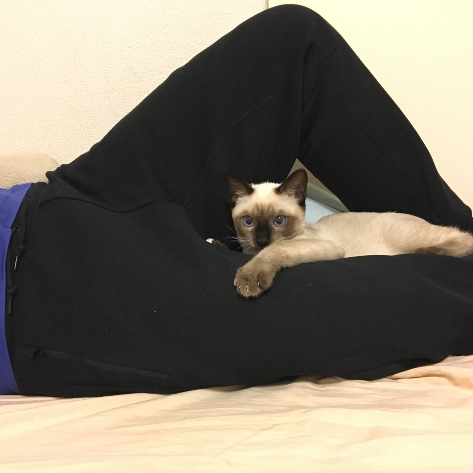 アクアのカバー写真