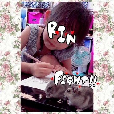 勉強中に食べちゃってごめん(´･Д･)」