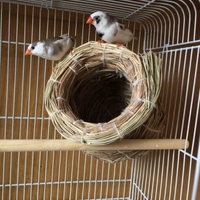 ももちゃん&かぐちゃん