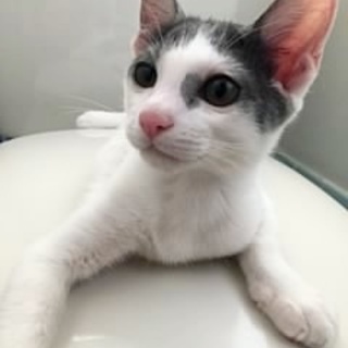 ハート模様のある男の子♡