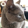ノンナナ