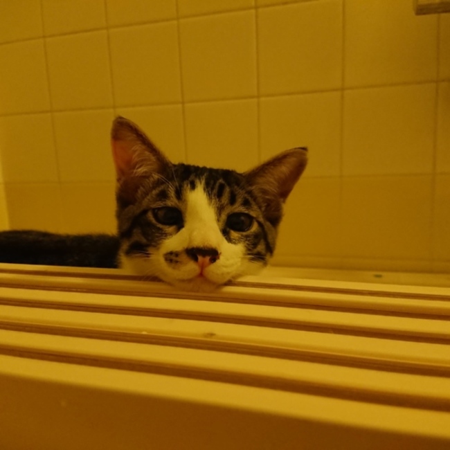 まさ10のカバー写真