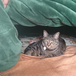 「雅(みやび)さん、アナグラの住民と化す」サムネイル1