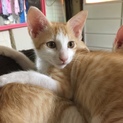 3ヵ月の男前君ᕱ⑅︎ᕱ"