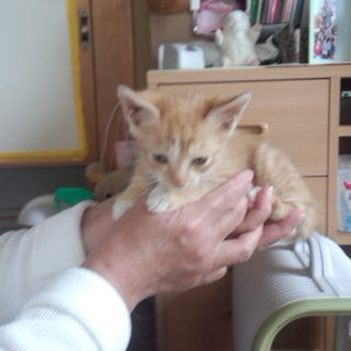 １ヶ月の男の子です！