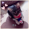 ソラ