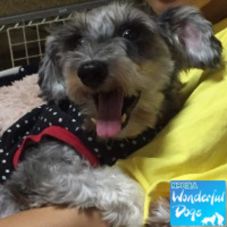 「なずな」Mシュナ♀