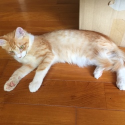 ここ最近…の続き