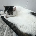 可愛がってくださる方お待ちしてます。