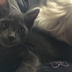 ワクチンに行ってきました。