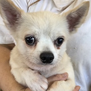 ♂358 里親募集中です！