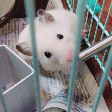 の写真