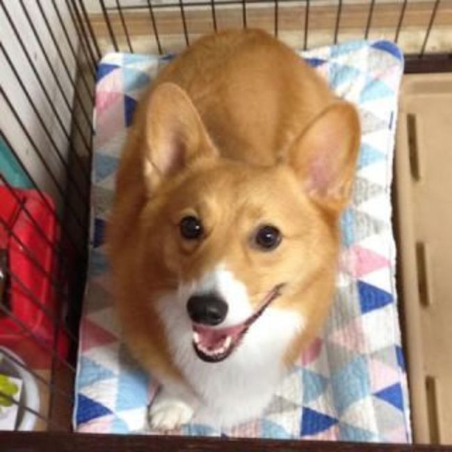 わこ@のカバー写真