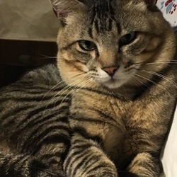 「目覚ましHAL（一夜明けて）」サムネイル3