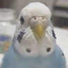  さん