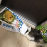 ありがとうございました サムネイル2