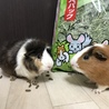 ありがとうございました サムネイル3