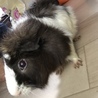 ありがとうございました サムネイル4