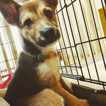 巨(なお)の写真