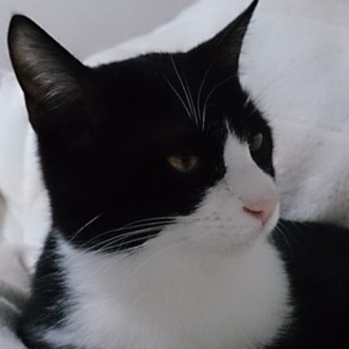 俺、こう見えて甘えん坊なんだぜ。