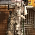 6月21日生まれの男の子です