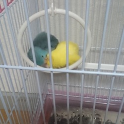 「あれ⁉」サムネイル2