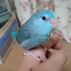 「あれ⁉」サムネイル3