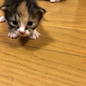 決まった後にキャンセルされてしまい、困ってます。