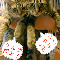 みかん