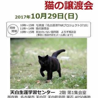 生後２ヶ月３兄弟