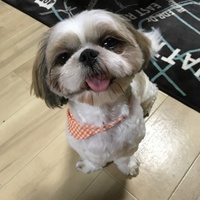 小町