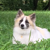 フラン
