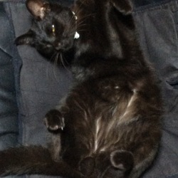 「ご無沙汰です」サムネイル2