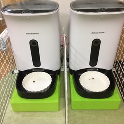 「自動給餌器の使用感」サムネイル1