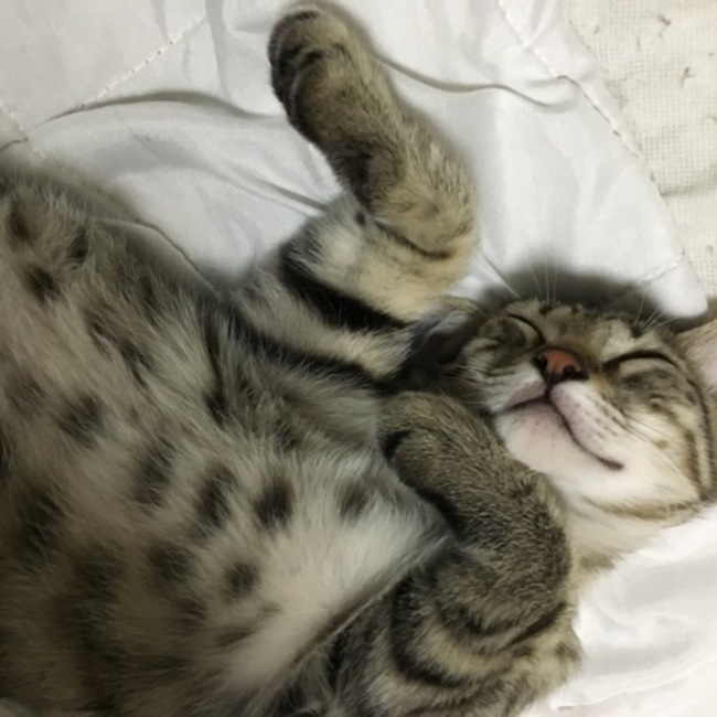ママエミのカバー写真
