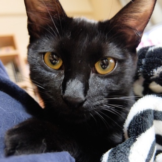 おしゃべりで甘えん坊な杏ちゃん