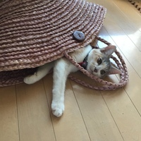 ミネ子