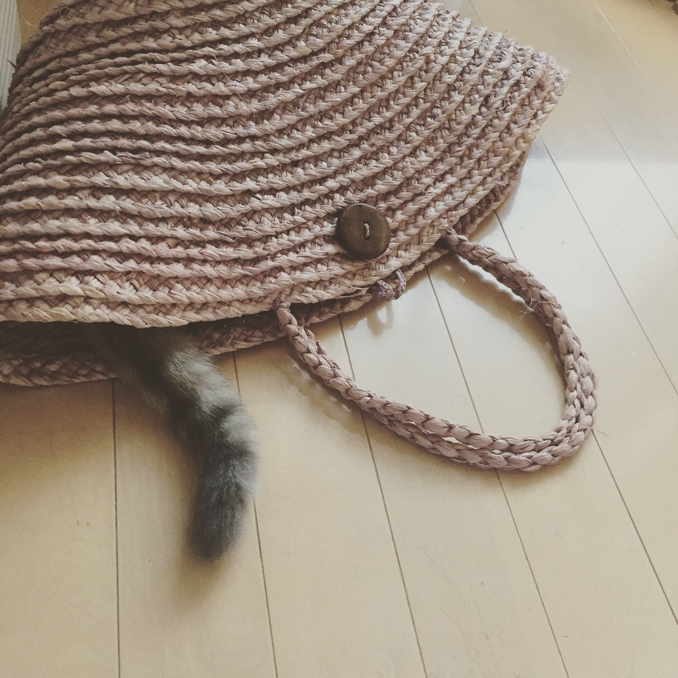 ミネ子のカバー写真