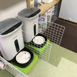 「自動給餌器の使用感」サムネイル3