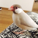 たくさんのご応募、本当にありがとうございました！！
