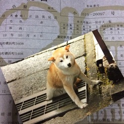 葵のbirthdayお祝い(〃^ー^〃)