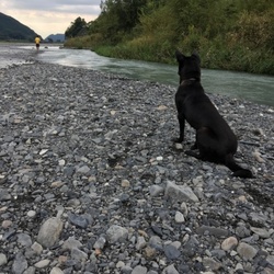 「袮寧2泊3日の帰宅」サムネイル3